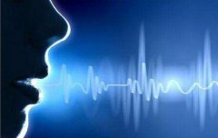 語音ic--打造能說會唱的智能家居