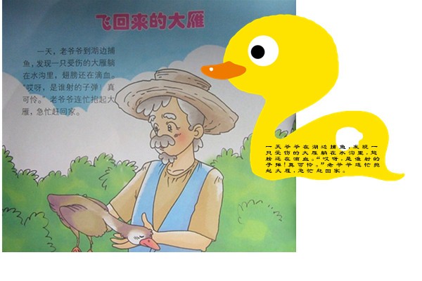 故事書語音ic,MP3芯片,兒童玩具語音儲存芯片,錄放芯片