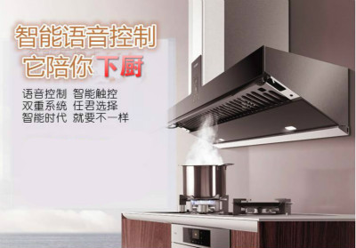 油煙機(jī)語音ic,廚具M(jìn)P3解碼芯片，家居語音儲(chǔ)存芯片，音樂芯片