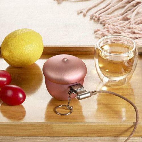 暖手寶語音ic,智能電器語音提示芯片,橡果暖手寶語音播報芯片,語音儲存芯片