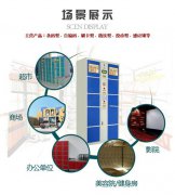 智能存放柜語音ic丨儲存柜語音播放芯片丨寄存柜語音儲存芯片丨存放柜語音提示芯片