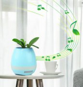 音樂花盆語音ic丨花盆mp3芯片丨智能花盆語音識(shí)別芯片丨綠植花盆語音播放芯片