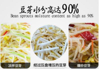 智能豆芽機語音ic,發(fā)豆機語音提示芯片,豆芽機語音播報芯片,豆芽機語音識別芯片