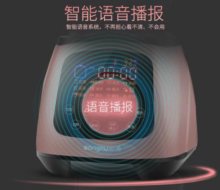 智能料理機(jī)語(yǔ)音IC方案,養(yǎng)生機(jī)語(yǔ)音播放芯片,OTP語(yǔ)音芯片