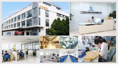 哪些因素決定購買者選擇語音芯片廠家？