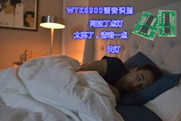 離線語音方案跟在線語音方案有什么不同的特點