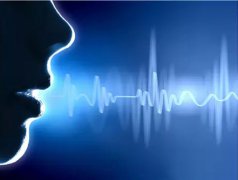 基于非特定人語音識(shí)別芯片的技術(shù)方案(一)